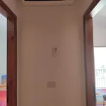 Mirto